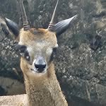 John Denaro - @denaro370 - Instagram