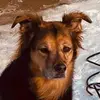 johndeneen876 - @johndeneen876 - TikTok