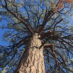 John Denner - @john.denner.5 - Instagram