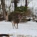 John Derbish - Facebook
