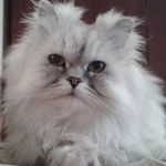 sam_john - @sam_john_derosier - Instagram