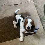 John DeRossitt - @john_derossitt - Instagram