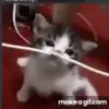 johnderouengooberthegoob - @johnderouengooberthegoob - TikTok