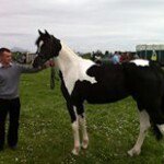 John Derrig - @johnmx140 - Instagram