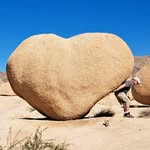 John De Santis - @john.de.santis69 - Instagram