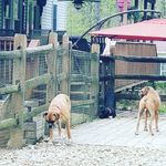 john desantis - @desantis15801 - Instagram