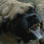 John DeSantis - @desantisjohn - Instagram