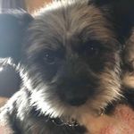 John Deschamps - @john.deschamps.16 - Instagram