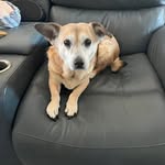 John Desselle - @cajundad62 - Instagram