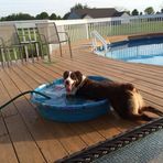 John DeVault - Facebook