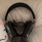 John Devine - @johndevine23 - Instagram