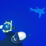 John Devine - @bajajohn - Instagram