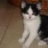 John de Vos675 - @johndevos05 - TikTok