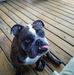 John DeVos - Facebook
