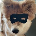Johnny ‘El Gordito’ de Vos - @john.devos.5 - Instagram