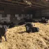 farmer j - @johndevries64 - TikTok