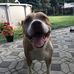 John Dewald - Facebook