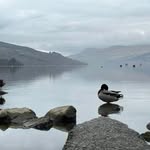 John Dewar - @jdewar32 - Instagram
