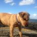 John Dewar - Facebook