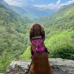 John Dewar - @jdewar33 - Instagram