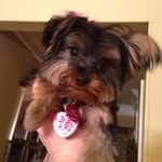 John Dewart - @jkdewart - Instagram