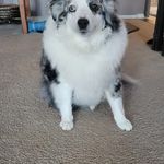 John DeYoung - @john.deyoung.94 - Instagram