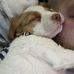 John Dibbern - Facebook