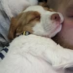 John Dibbern - @dibbsondat - Instagram
