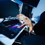 John dibbern - @thebusinessdoge - Instagram