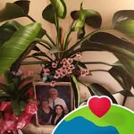 John Dibble - @johndibble3 - Instagram