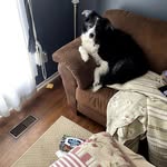 John Dickenson - @johndickenson399 - Instagram
