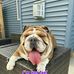 John Dickson - Facebook
