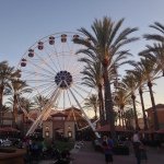 John Dieck - @jtdieck - Instagram