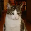 John DIERINGER - @johnhdieringer - TikTok