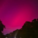 John DiGiacomo - @jdigiacomo7 - Instagram