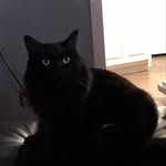 John digiacomo - @digiacomo1021 - Instagram