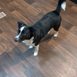 John Digregorio - @digregorio1969 - Instagram