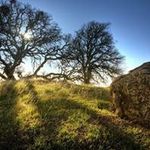 john dillard - @dillardjohn115 - Instagram