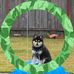 John DiLonardo - Facebook