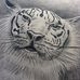 John J DiMare - Facebook