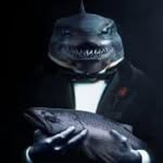 John DiMauro - @dadaddyshark_ - Instagram