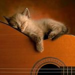 John Dimick - @john_dimick - Instagram