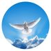 John Din - Facebook