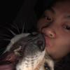 John dinh - @johndinh79 - TikTok