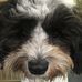 John Dingler - Facebook