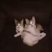John DiNitto - Facebook