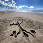 John Dipple - @john.dipple4172 - Instagram