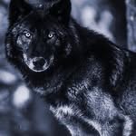 John Dise - @yea.dise - Instagram