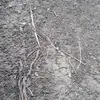 Akash_Pandey - @jjohn_ditzel - TikTok