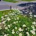 John Dobler - Facebook